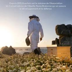 GUERLAIN Sérum|Abeille Royale