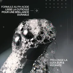 Redken Cheveux Colorés / Méchés|Shampooing>Acidic Color Gloss Shampoing