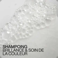 Redken Cheveux Colorés / Méchés|Shampooing|Acidic Color Gloss Shampoing