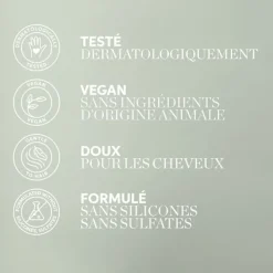 Wella Cheveux Gras|Après-Shampooing><noscript><img width=