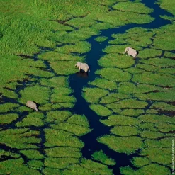 GUERLAIN Eau De Toilette><noscript><img width=