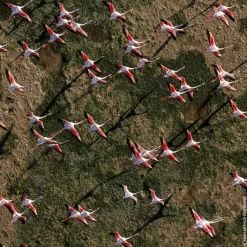 GUERLAIN Parfums Rechargeables|Eau De Toilette></noscript>AQUA ALLEGORIA