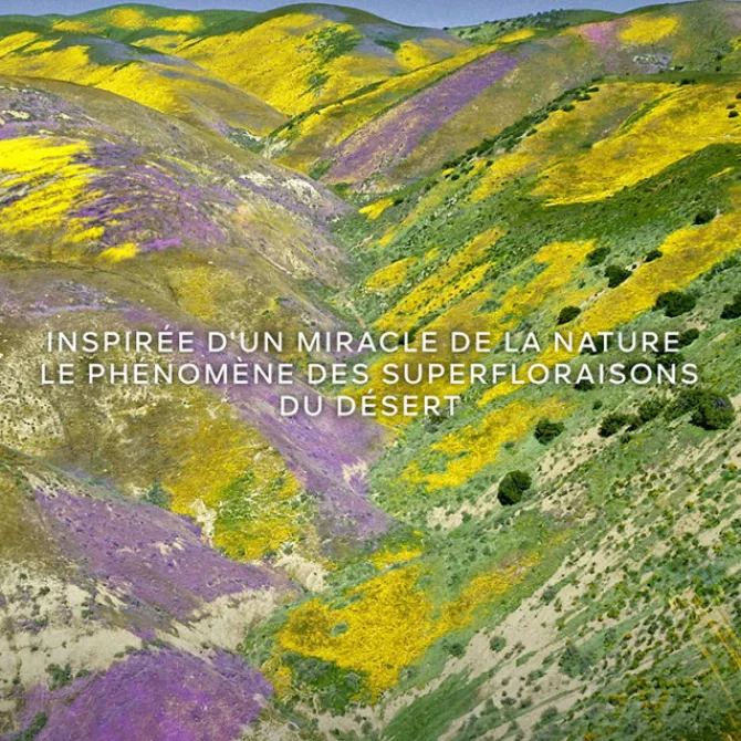 GUERLAIN Eau De Toilette>AQUA ALLEGORIA