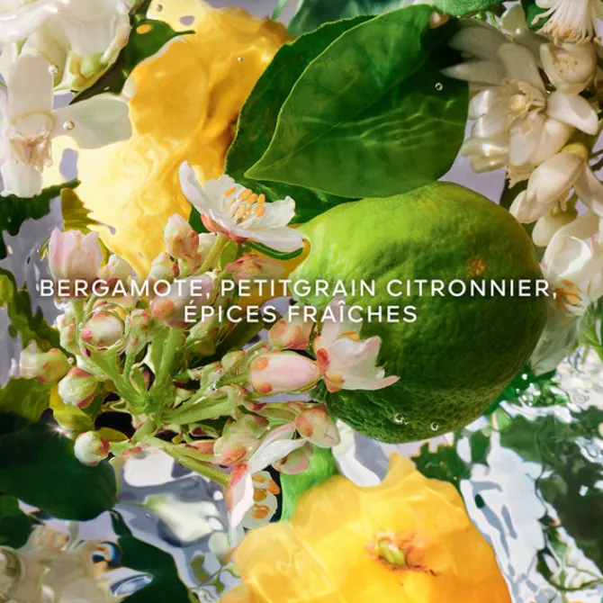 GUERLAIN Parfums Rechargeables|Eau De Toilette>AQUA ALLEGORIA