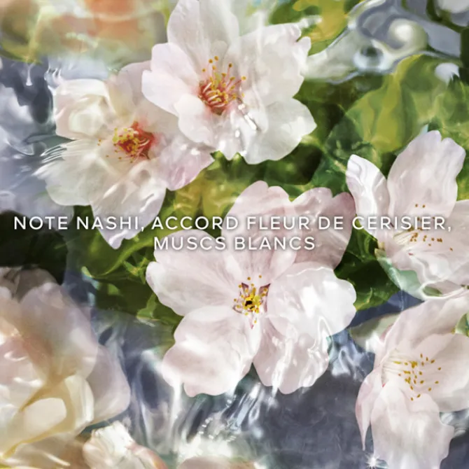 GUERLAIN Eau De Toilette>AQUA ALLEGORIA