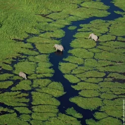 GUERLAIN Eau De Toilette><noscript><img width=