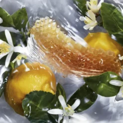 GUERLAIN Parfums Rechargeables|Eau De Toilette>AQUA ALLEGORIA