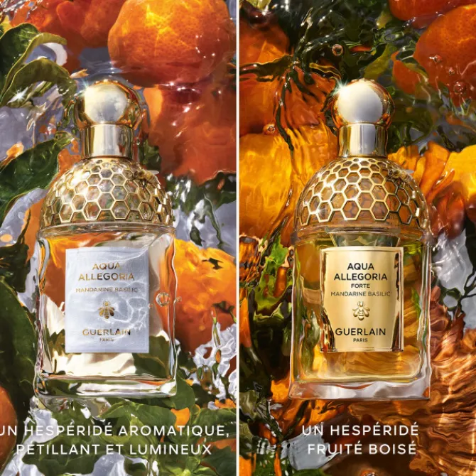 GUERLAIN Parfums Rechargeables|Eau De Parfum>AQUA ALLEGORIA FORTE