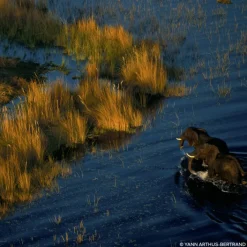 GUERLAIN Parfums Rechargeables|Eau De Parfum><noscript><img width=