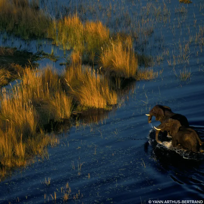 GUERLAIN Eau De Parfum>AQUA ALLEGORIA FORTE