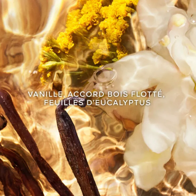 GUERLAIN Parfums Rechargeables|Eau De Parfum>AQUA ALLEGORIA FORTE