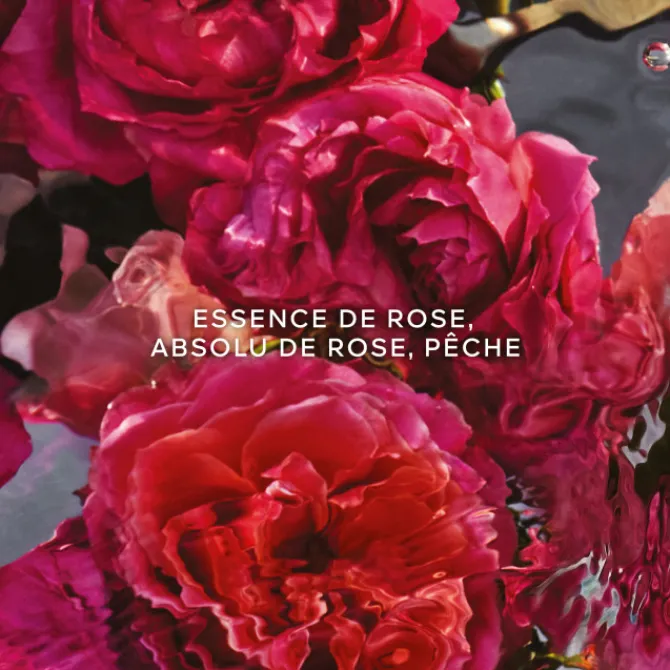 GUERLAIN Parfums Rechargeables|Eau De Parfum>AQUA ALLEGORIA FORTE