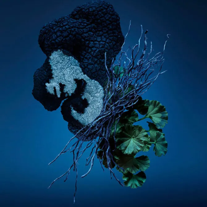 Carolina Herrera Eau De Parfum>Bad Boy Cobalt