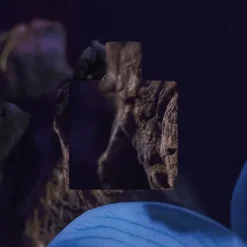 Homme CHANEL Eau De Parfum|BLEU DE