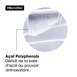 L'Oreal Professionnel Cheveux Colorés / Méchés|Cheveux Blonds / Décolorés / Gris / Blanc><noscript><img width=