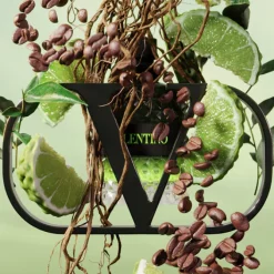 Valentino Eau De Toilette><noscript><img width=