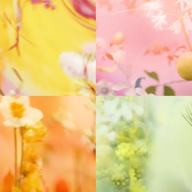 CHANEL Eau De Toilette>CHANCE EAU TENDRE