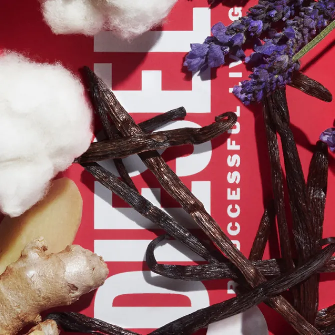 Diesel Parfums Rechargeables|Eau De Toilette>D By