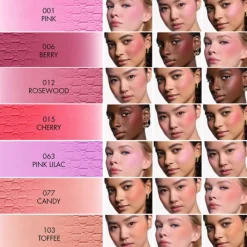 Dior Fard À Joue & Blush><noscript><img width=