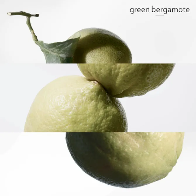 HERMES Parfums Mixtes|Parfums Rechargeables>Eau de Basilic Pourpre