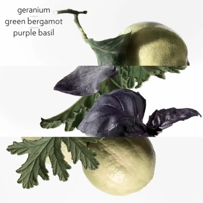 HERMES Parfums Mixtes|Parfums Rechargeables>Eau de Basilic Pourpre