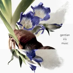 HERMES Parfums Mixtes|Eau De Cologne>Eau de Gentiane Blanche