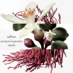 HERMES Parfums Mixtes|Eau De Cologne>Eau de Néroli Doré