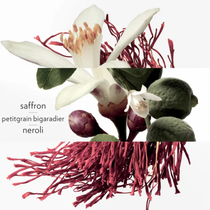 Femme HERMES Parfums Mixtes|Eau De Cologne|Eau de Néroli Doré