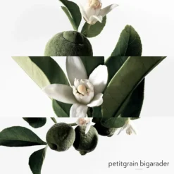 Femme HERMES Parfums Mixtes|Eau De Cologne|Eau de Néroli Doré