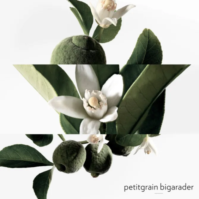 Femme HERMES Parfums Mixtes|Eau De Cologne|Eau de Néroli Doré