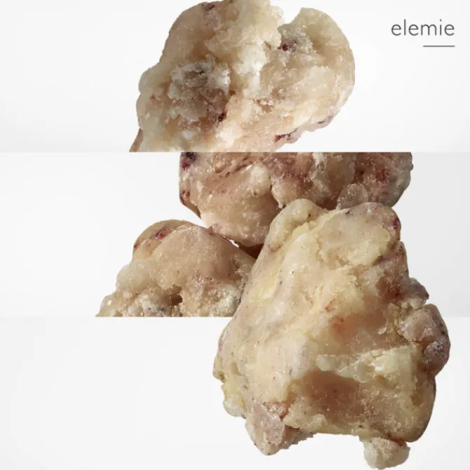 HERMES Eau De Toilette>Eau des Merveilles