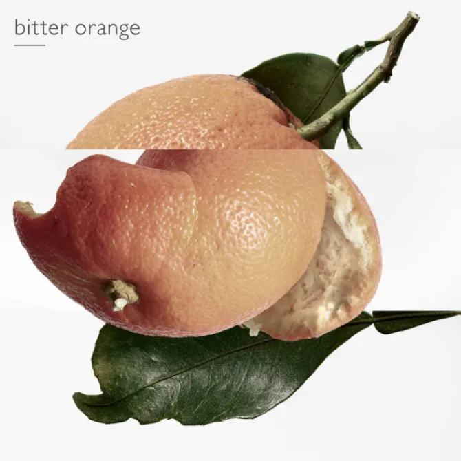 HERMES Eau De Toilette>Eau des Merveilles