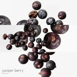 HERMES Eau De Toilette>Eau des Merveilles Bleue