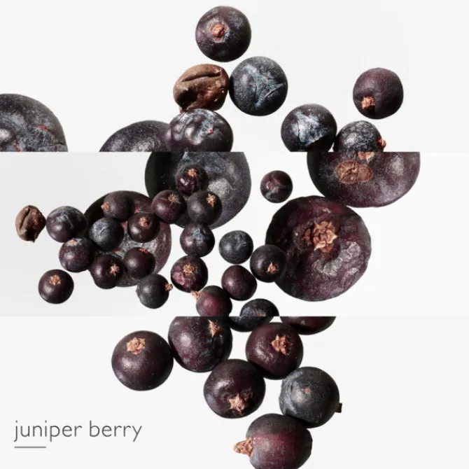 HERMES Eau De Toilette>Eau des Merveilles Bleue