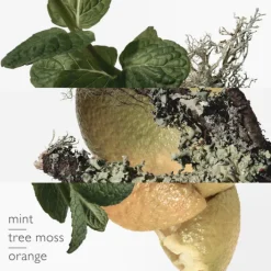 HERMES Parfums Mixtes|Eau De Cologne>Eau d'Orange Verte