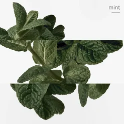 HERMES Parfums Mixtes|Eau De Cologne><noscript><img width=