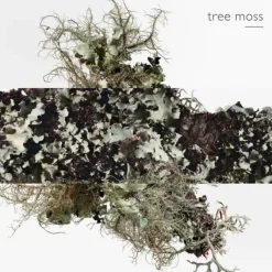 HERMES Parfums Mixtes|Eau De Cologne><noscript><img width=