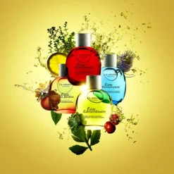 Clarins Eau Fraîche>Eau Ressourçante