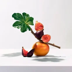 Femme Roger et Gallet Parfums & Eaux De Soins|Eau De Cologne|Fleur de Figuier