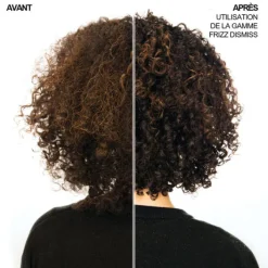 Redken Cheveux Normaux / Tous Types|Après-Shampooing|Frizz Dismiss