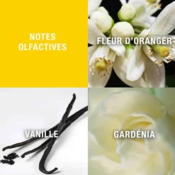 Giorgio Beverly Hills Parfums Petits Prix|Eau De Toilette><noscript><img width=