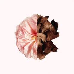 Givenchy Parfums Rechargeables|Eau De Parfum>Irresistible