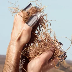 Dolce&Gabbana Eau De Toilette><noscript><img width=