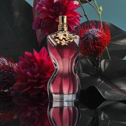 Femme Jean Paul Gaultier Eau De Parfum|La Belle