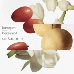 HERMES Parfums Mixtes|Eau De Toilette>Le Jardin de Monsieur Li