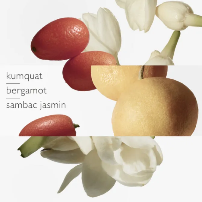 HERMES Parfums Mixtes|Eau De Toilette>Le Jardin de Monsieur Li