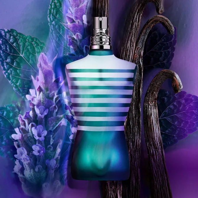 Jean Paul Gaultier Eau De Toilette>Le Male
