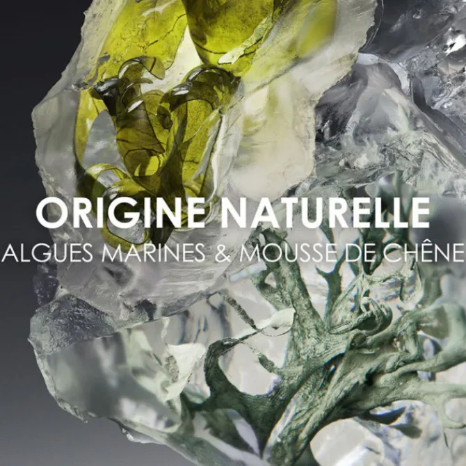 Issey Miyake Eau De Toilette>Le Sel D'Issey