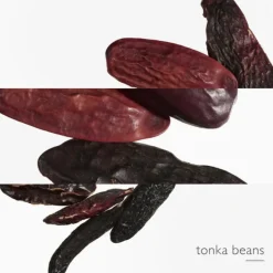 HERMES Eau De Parfum></noscript>L'Ombre Des Merveilles