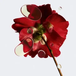 CHANEL Sérum><noscript><img width=